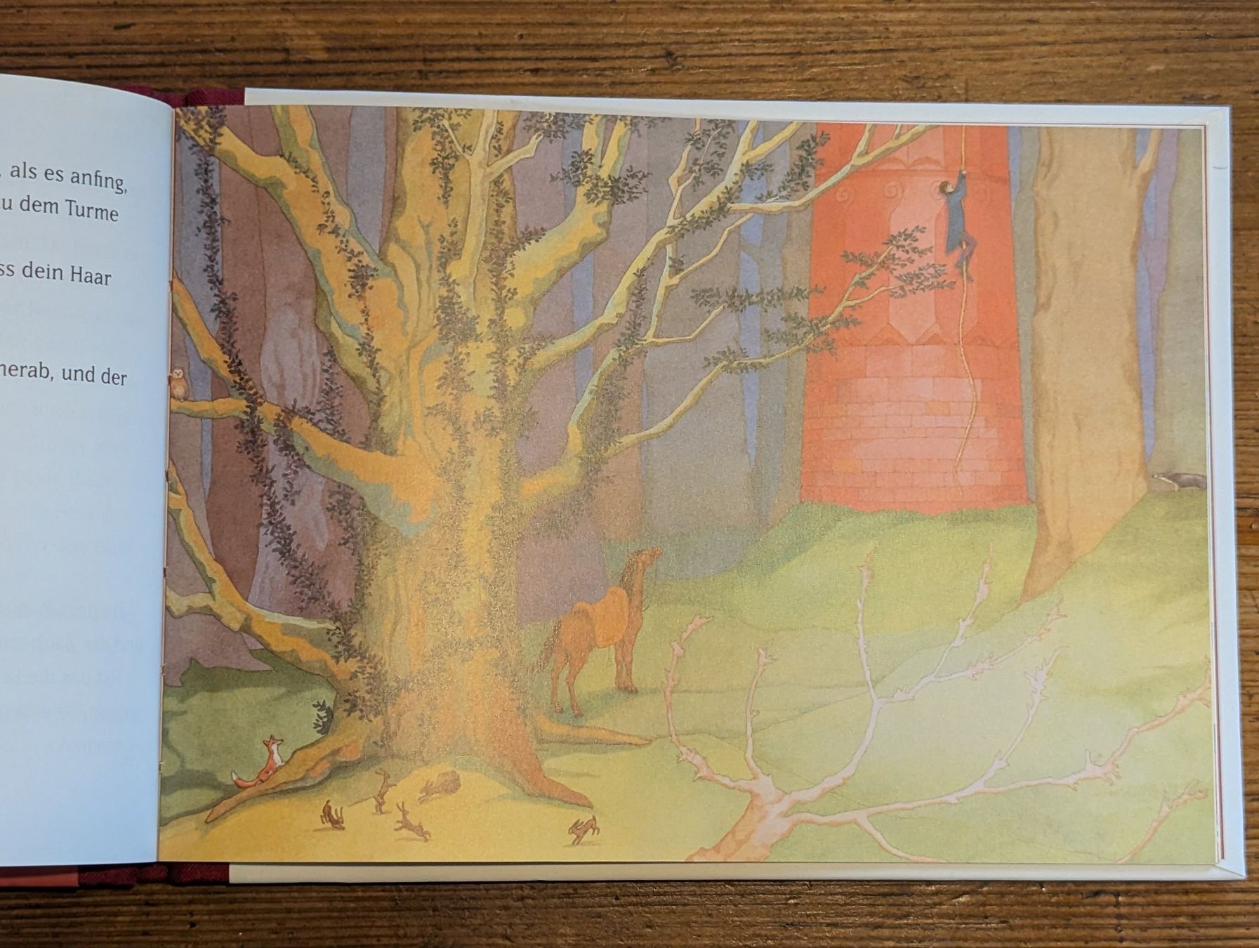 Libri: Rapunzel, Brüder Grimm/ Dorothée Duntze – Usato da Goldingen venduto da YouAreMySunshine 3