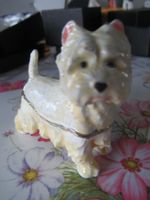 Pillendose Terrier WESTI  Emaille mit Box TOP & Neu*VERSAND!