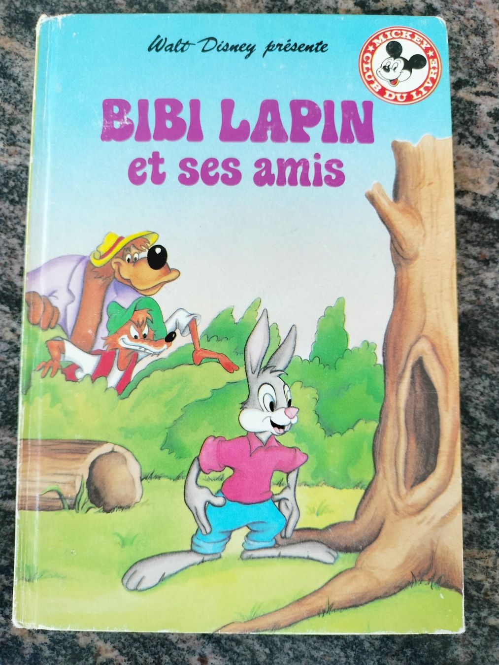 Libri: Bibi Lapin Et Ses Amis Disney (Studio) – Usato da Cortaillod venduto da rozinna