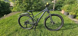 Jugendbike Cube Aim Race