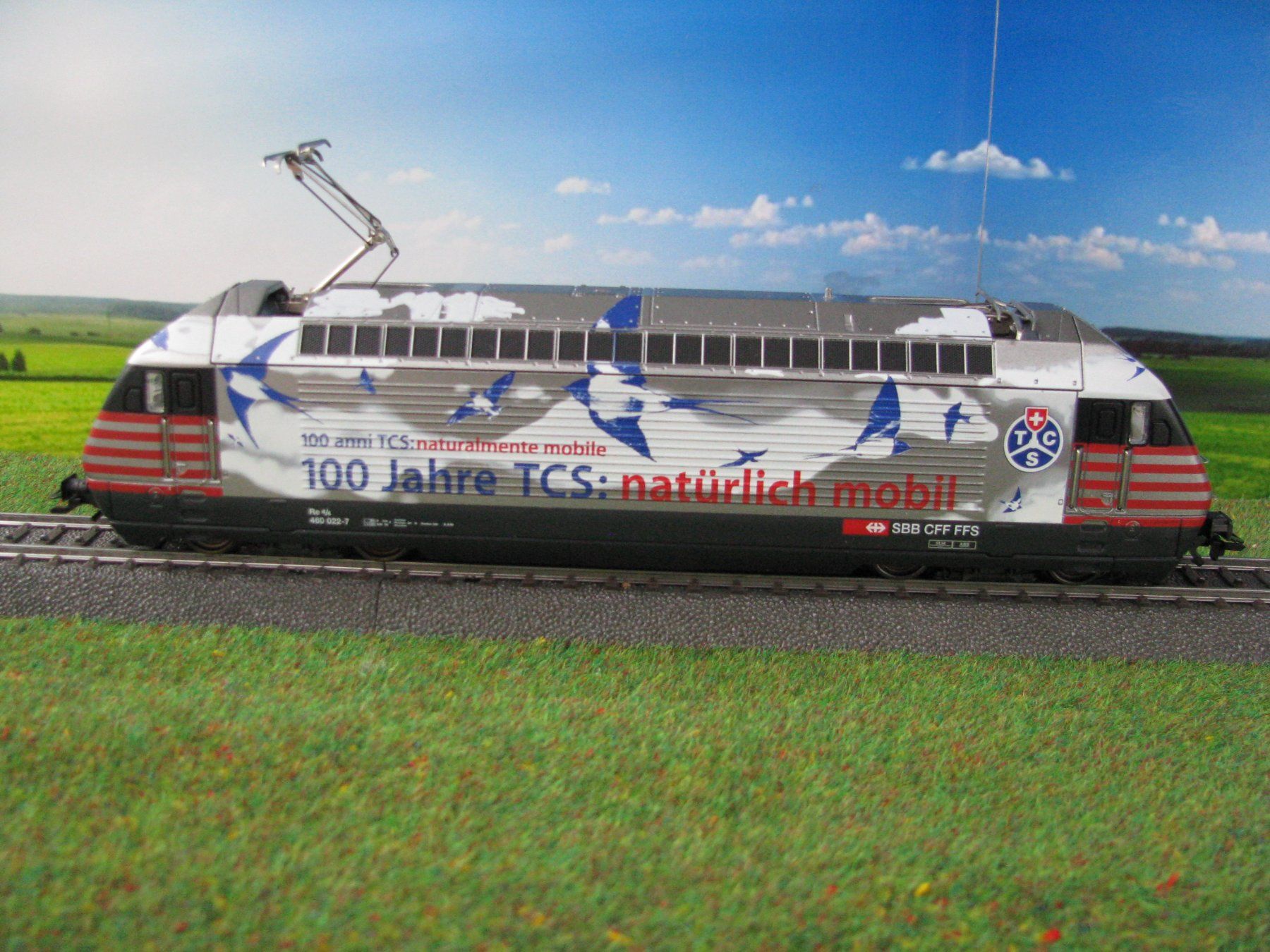 Märklin Modellini di ferrovie: 6 Märklin Digital-Lokomotiven – Usato da Schaffhausen venduto da Canopus01 4