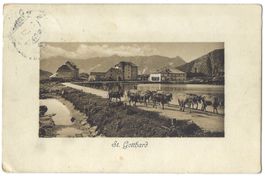 St.  Gotthard  mit Kühen auf der Strasse