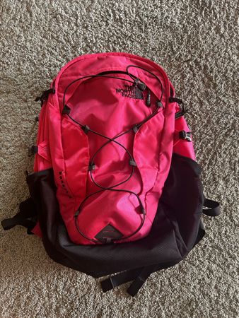 The north face bag