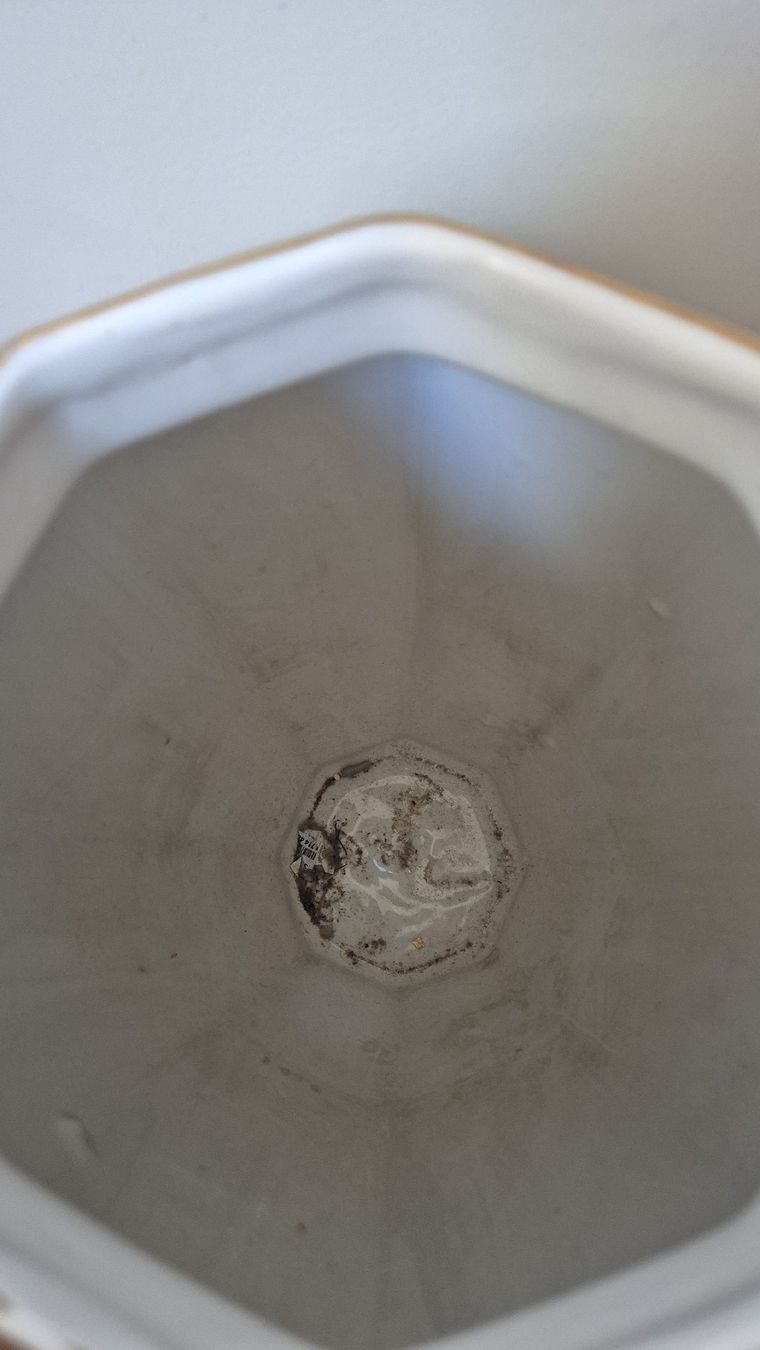 Vasi & Recipienti: Grand vase  – Usato da Versoix venduto da Lenas9 6