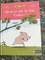 Qu'est ce que tu fais cochon ? René Gouichoux Nathan