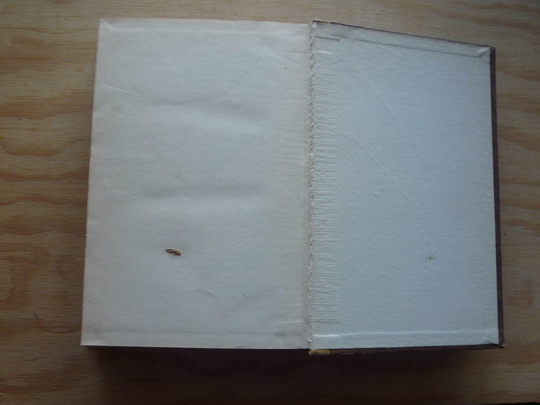 Livres: Heinrich Mann/Der Kopf, 1925 – D'occasion à Rieden SG par Brockehuesli 7