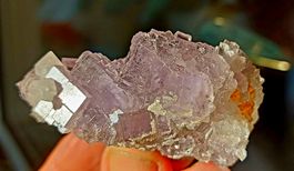 Fluoritkristalle auf einer Quarzstufe aus Berbes/ Spanien