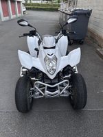 Kymco Maxxer 300 frisch ab MFK