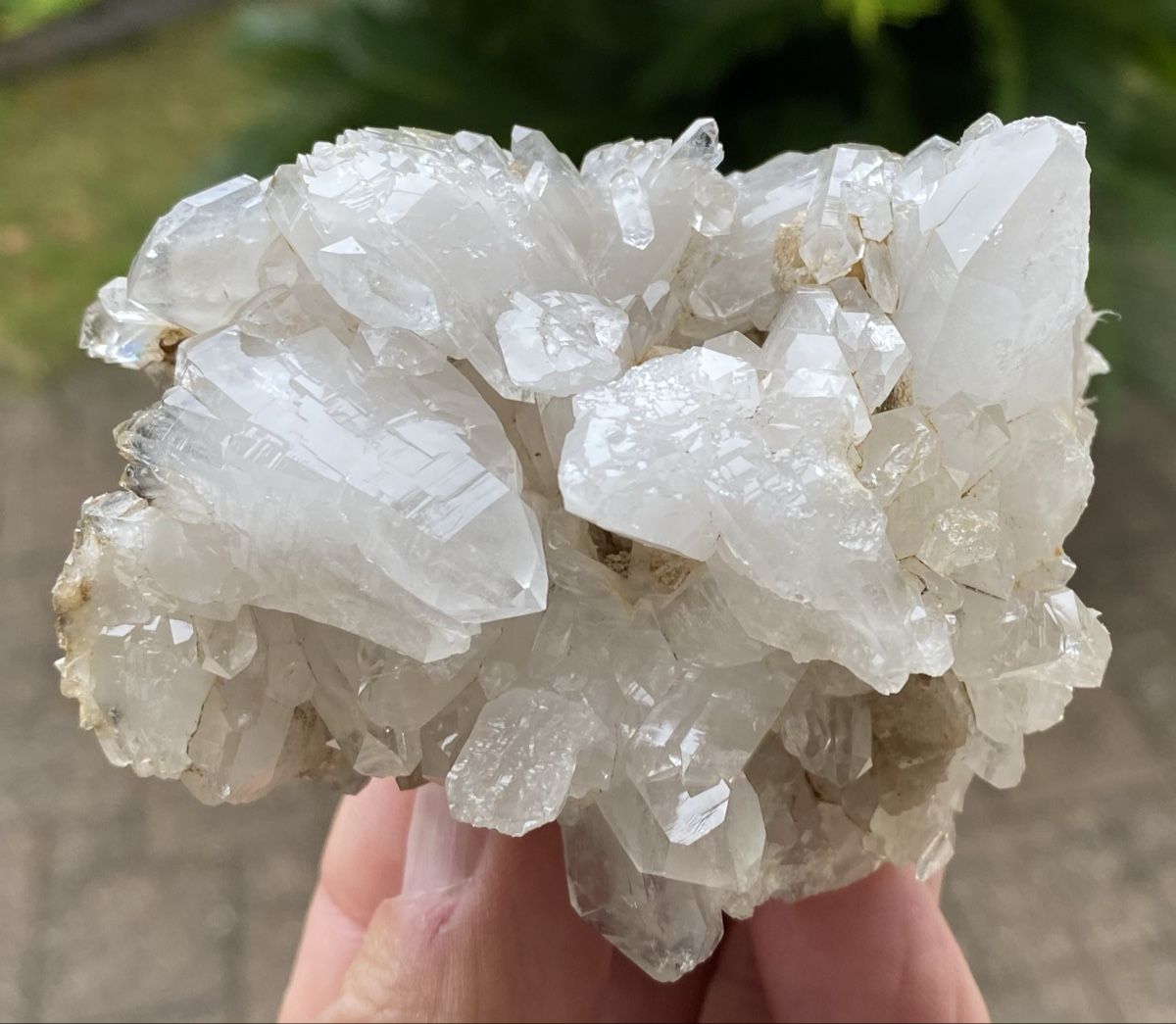 Minerali & Pietre curative: Top Stufe Wergenstein Graubünden  – Usato da Selzach venduto da 321compac 6