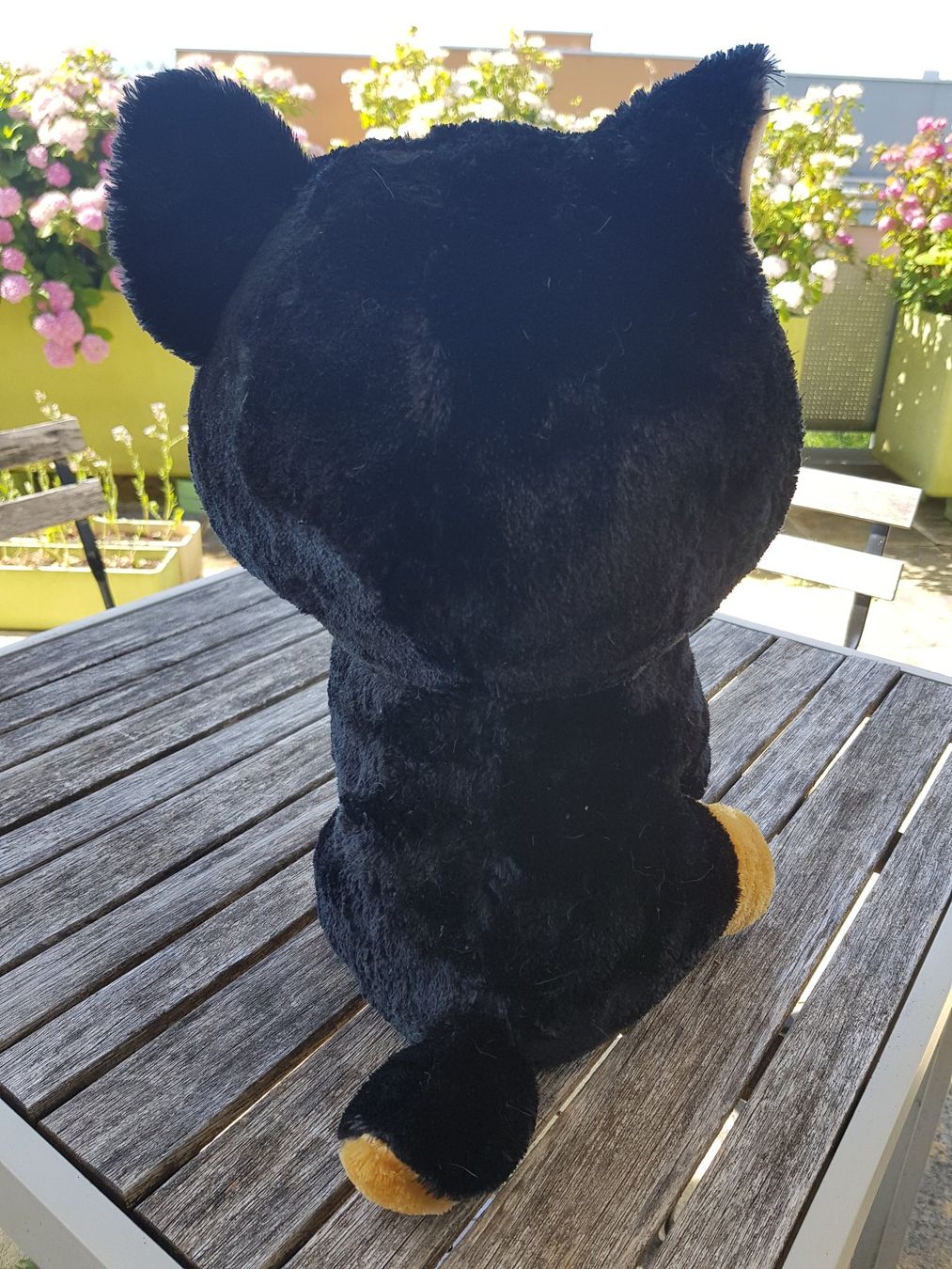Spielzeuge: Plüsch-Hund hellbraun/schwarz sitzend – Gebraucht aus Jona von dampfnuggi 2