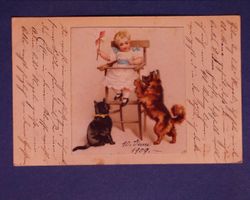 Katze / Hund / Kind