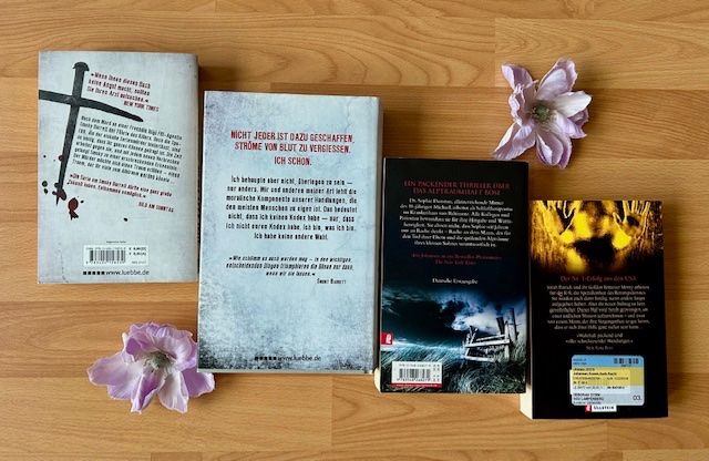 Bücher: Cody Mcfadyen, Iris Johansen, Karin Slaughter,Sidney Sheldon – Neu (gemäss Beschreibung) aus Bern von Denzel8 2