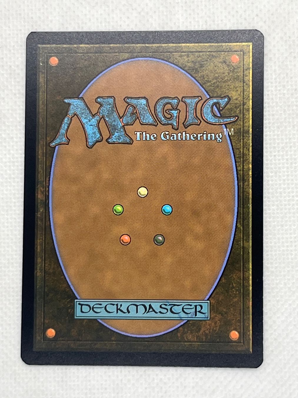 Magic The Gathering Sammelbilder & Trading cards: MTG Shield-Wall Sentinel DMU 238 Common – Gebraucht aus Hinterkappelen von Kim1992 1