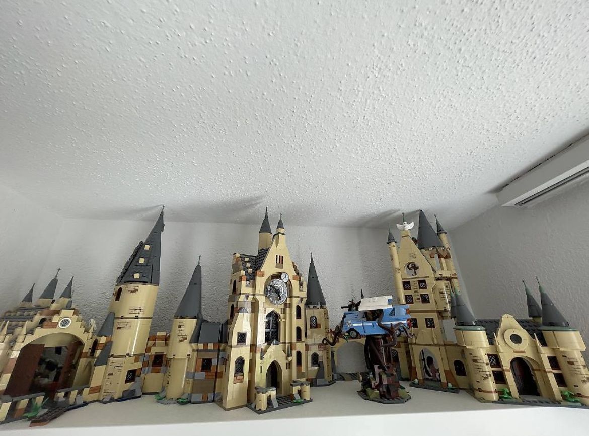 Lego Giocattoli: Lego Harry Potter Sammlung – Nuovo (secondo la descrizione) da Schwyz venduto da Grisch1