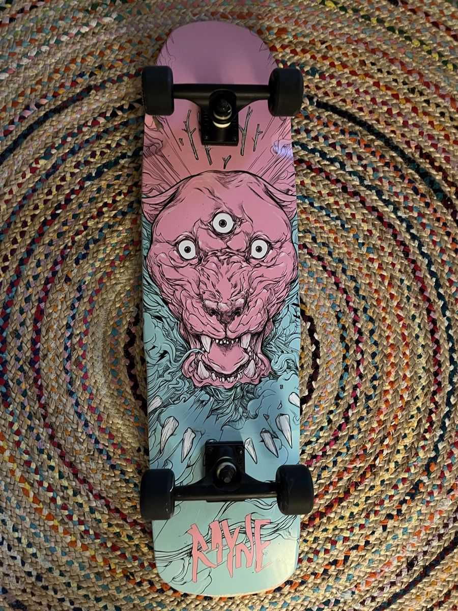 Skateboards: Rayne Longboard – Usato da Basel venduto da Millaco