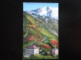 (p) AK ENGELBERG Hotel Trübsee mit Titlis ca 1920er Jahre