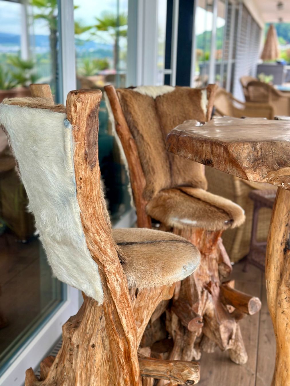 Set di tavolo e panche: Rustikaler Olivenbaum Tisch + 2 Stühle – Usato da Buchs AG venduto da NovidarteAG 1