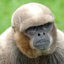 Profile image of fabian_enrique