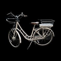 Unique: Brinke City-E-Bike