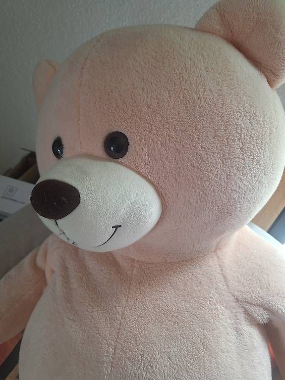 Spielzeuge: Nounours rose géant en peluche – Gebraucht aus Chéserex von aux_p86n 1