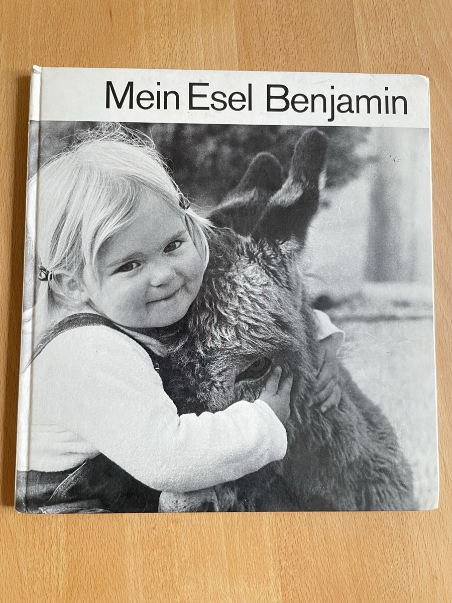 Libri: Kinderbuch von 1960 – Usato da Meiringen venduto da Lolo2000