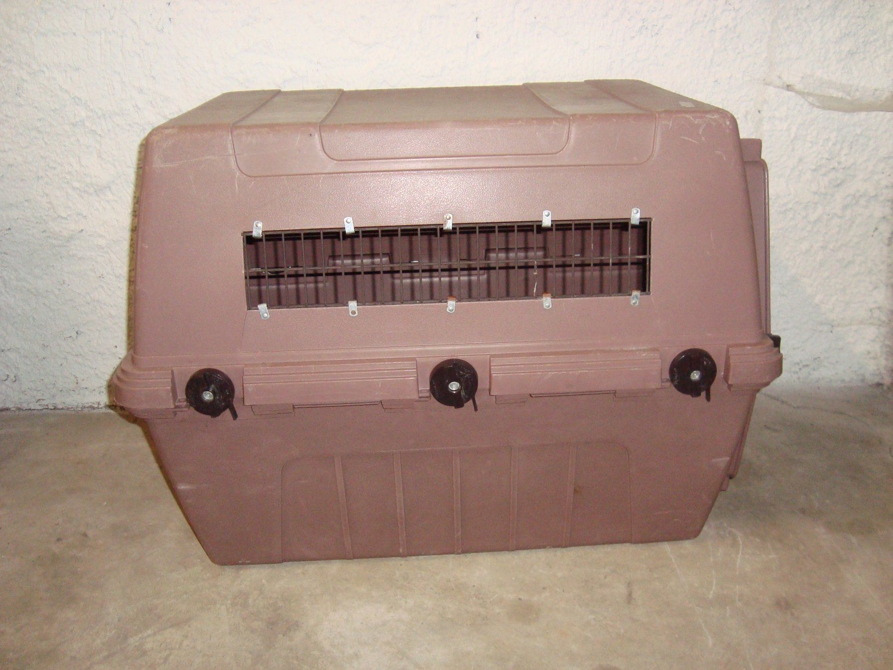 Gabbie, trasporto & Sicurezza: Hundebox – Usato da Walzenhausen venduto da Totenkopf0 2