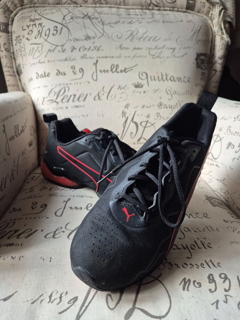 Puma Herrenschuhe: Puma Sneaker – Gebraucht aus Rüthi (Rheintal) von alphabettagamma