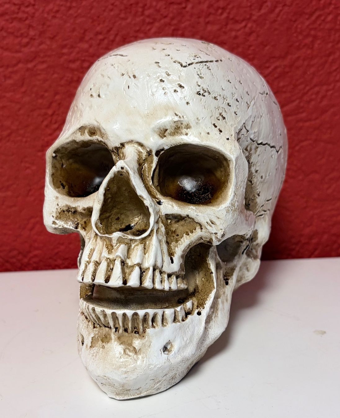 Figuren: Deko Totenschädel - Neu – Neu und originalverpackt aus Zäziwil von Emlea 2
