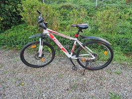 Mountainbike