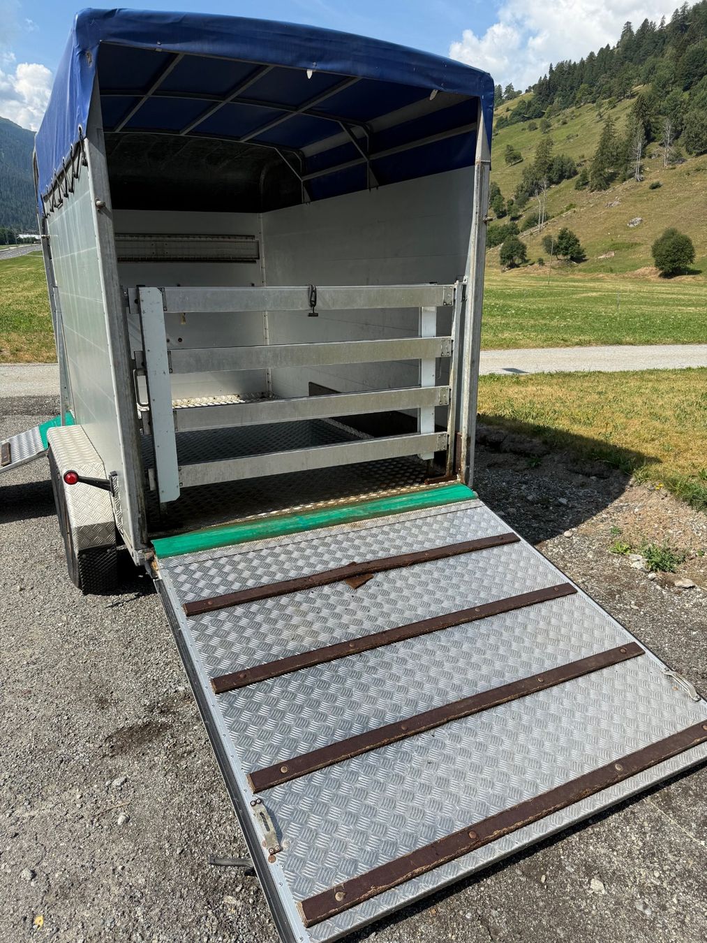 Daltec Rimorchi: Viehanhänger Daltec Cargo 25 – Usato da Münster venduto da werage 6