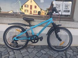Leopard Fast Cat 20"