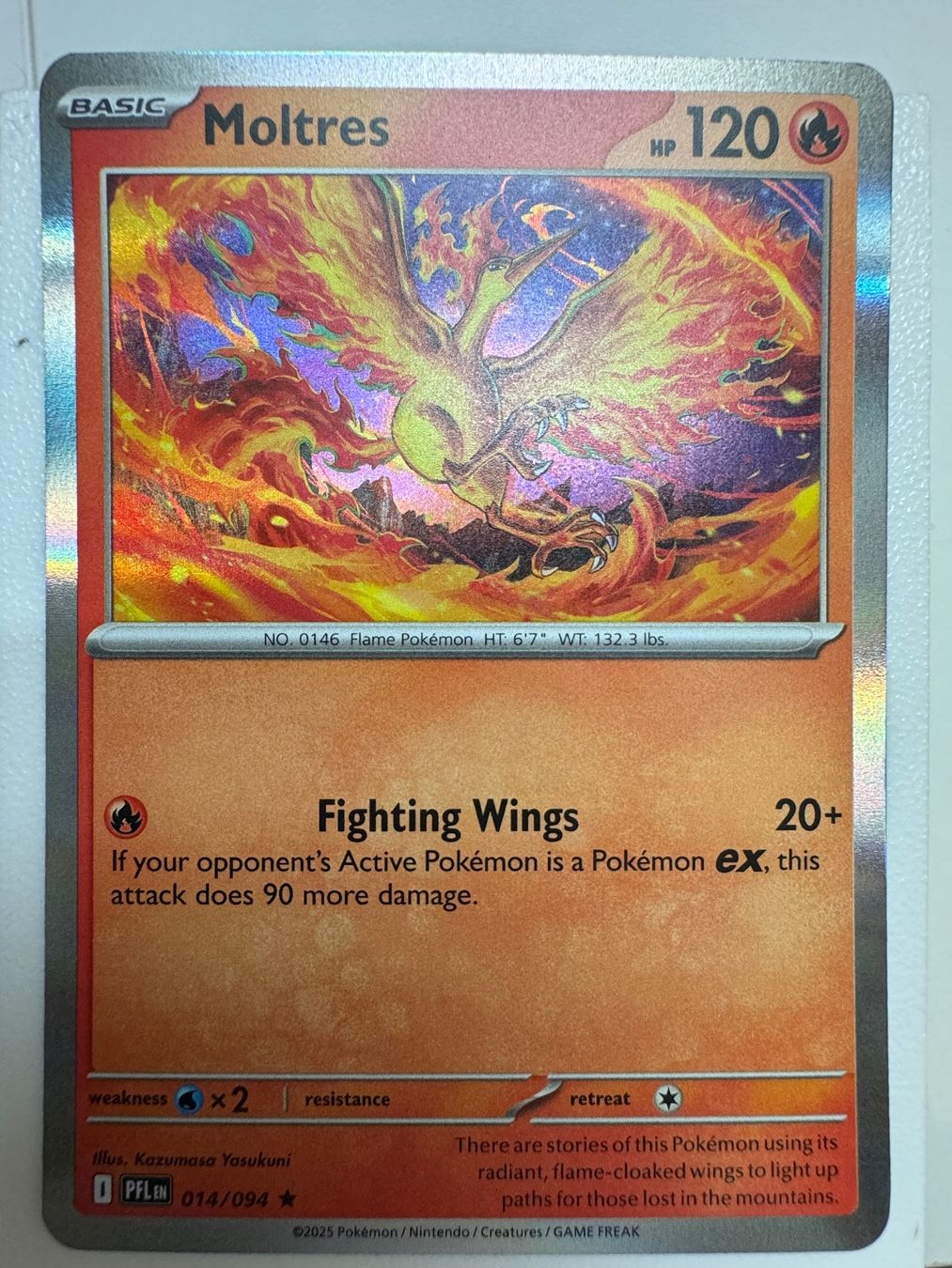 Pokémon Carte collezionabili: Moltres | Reverse Holo | 014/094 | Pokémon TCG – Nuovo (secondo la descrizione) da Bassersdorf venduto da ero_9zp9