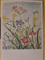Ansichtskarte Freesien Aquarell Kunstdruck