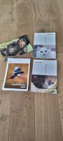 Postkartenkalender Tiere GRATIS  - cartes postale animaux