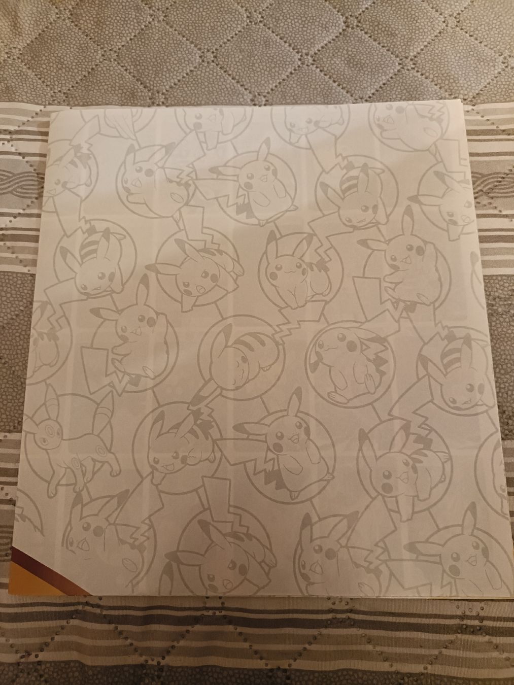 Pokémon Sammelbilder & Trading cards: Pokémon 30th Poster – Neu (gemäss Beschreibung) aus Lostallo von cha_lx5j 1