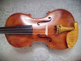 Conzert geige violine violon violino mit zertifikat