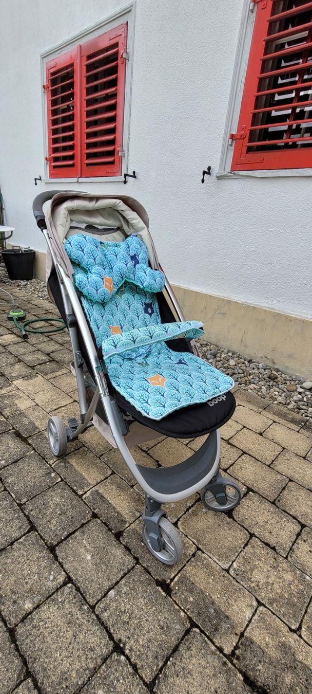 Poussette: Kinderwagen / Buggy – D'occasion à Landschlacht par Elise12 1