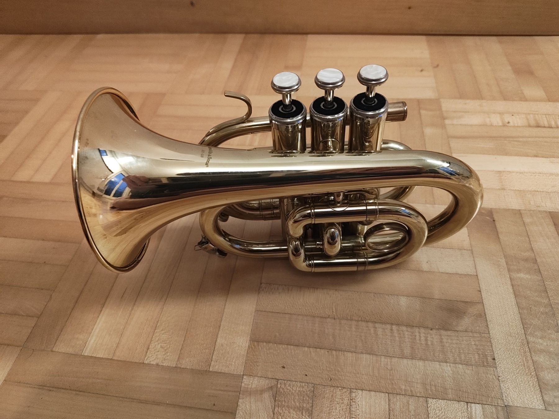 Strumenti musicali: Taschentromoete – Usato da Vitznau venduto da Gishaya 4