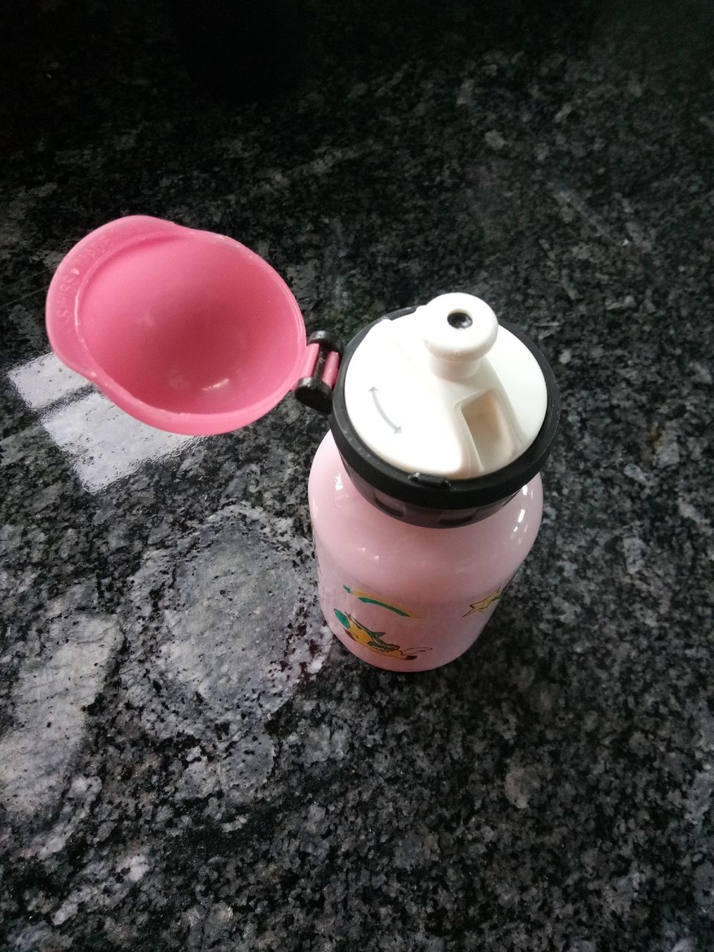 Sigg Borracce & Thermos: SIGG Trinkflasche Einhorn & Fee, rosa, CH-Produktion – Usato da Volketswil venduto da Car1 3