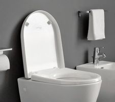 LAUFEN WC-Deckel Pro Special, Slowclose (26070945)