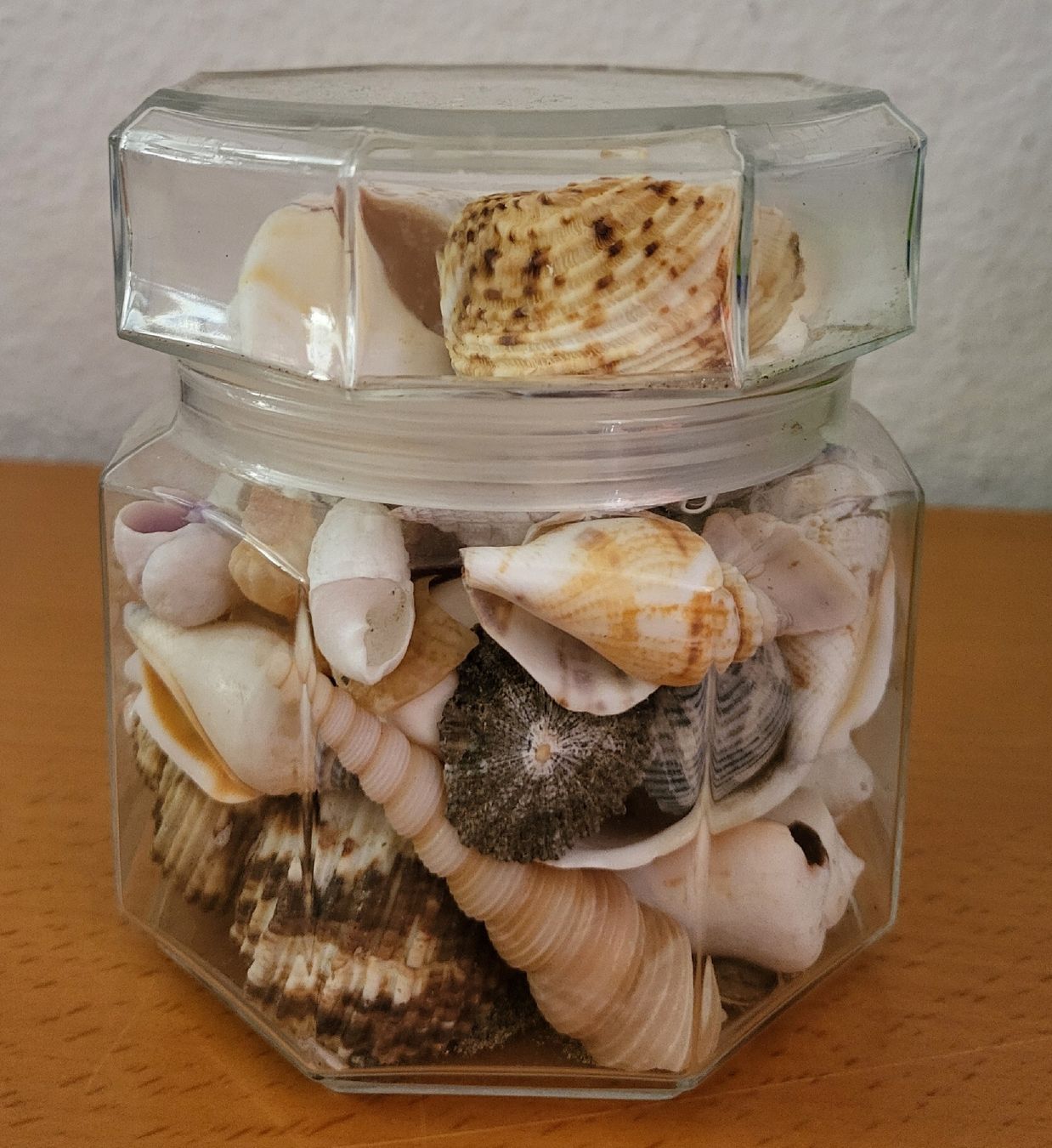 Tutte le decorazioni: Muscheln im Glasbehälter – Usato da Winterthur venduto da Baer49