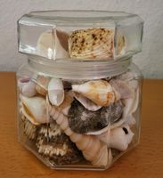Muscheln im Glasbehälter