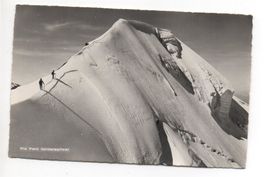 PIZ PALÜ (Mittelspitze), Bergsteiger