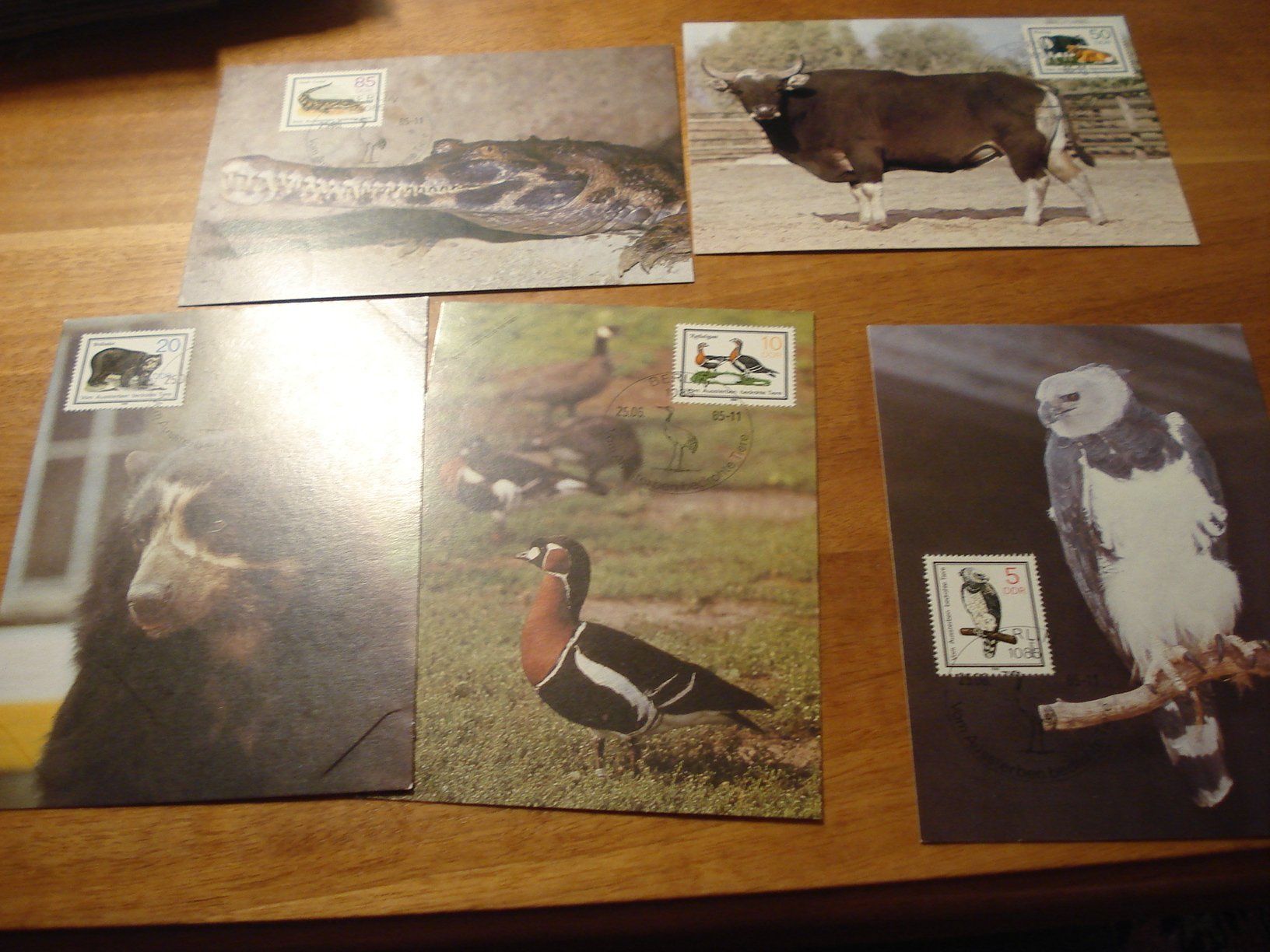 Tous les timbres: DDR, Satz Maximumkarten 1985, Bedrohte Tiere – D'occasion à Niederwil AG par morostahu 1