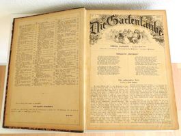 Die Gartenlaube, Illustriertes Familienblatt, 1877