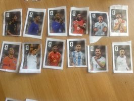Alle 12 Colabildi FWC 2026 Panini