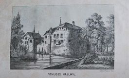 Hallwil 1872 mit Ansicht sehr selten