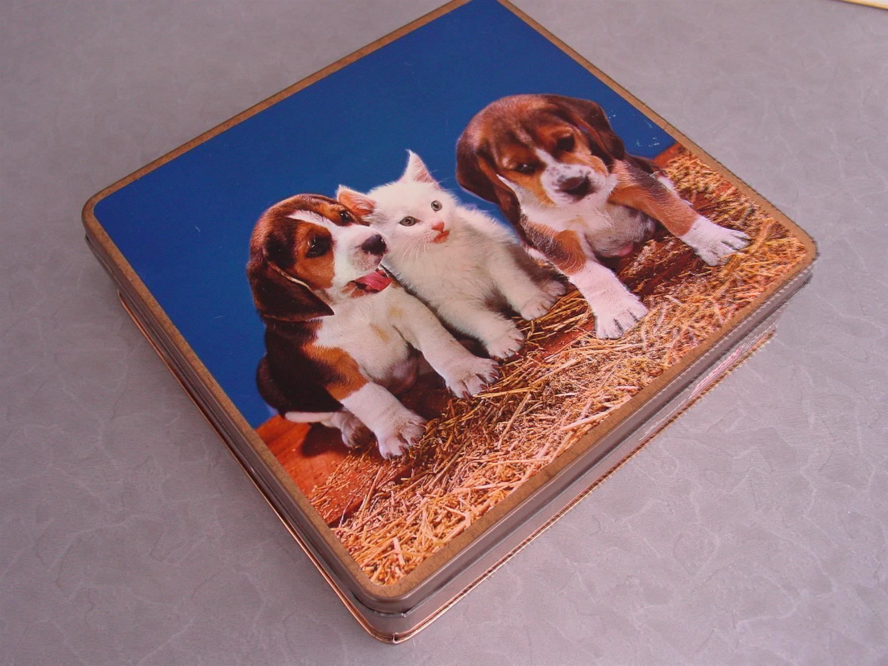 Altro in Decorazioni & Accessori: 2 Bisquit Blech Dosen Büchsen Hunde – Usato da Rothrist venduto da heinrich1966 1