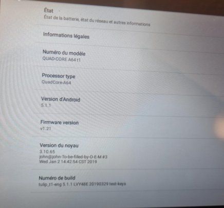Sistema di controllo: HDL S10/10" Android Touch Screen Home Smart Panel – Usato da Collonges venduto da arashee 4