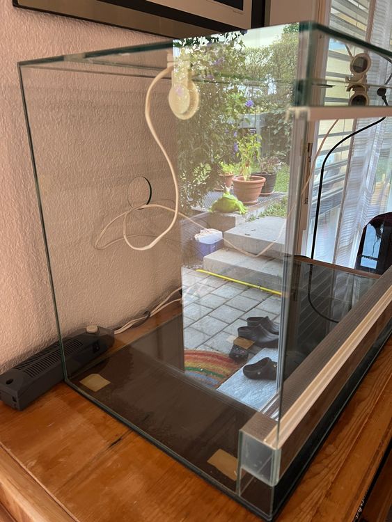 Glas Terrarium Kaufen auf Ricardo
